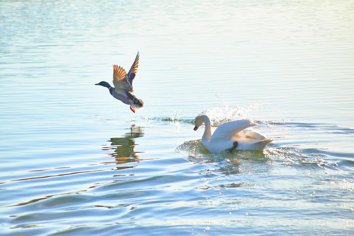 十九岁的碎碎念