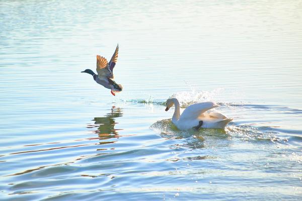 十九岁的碎碎念
